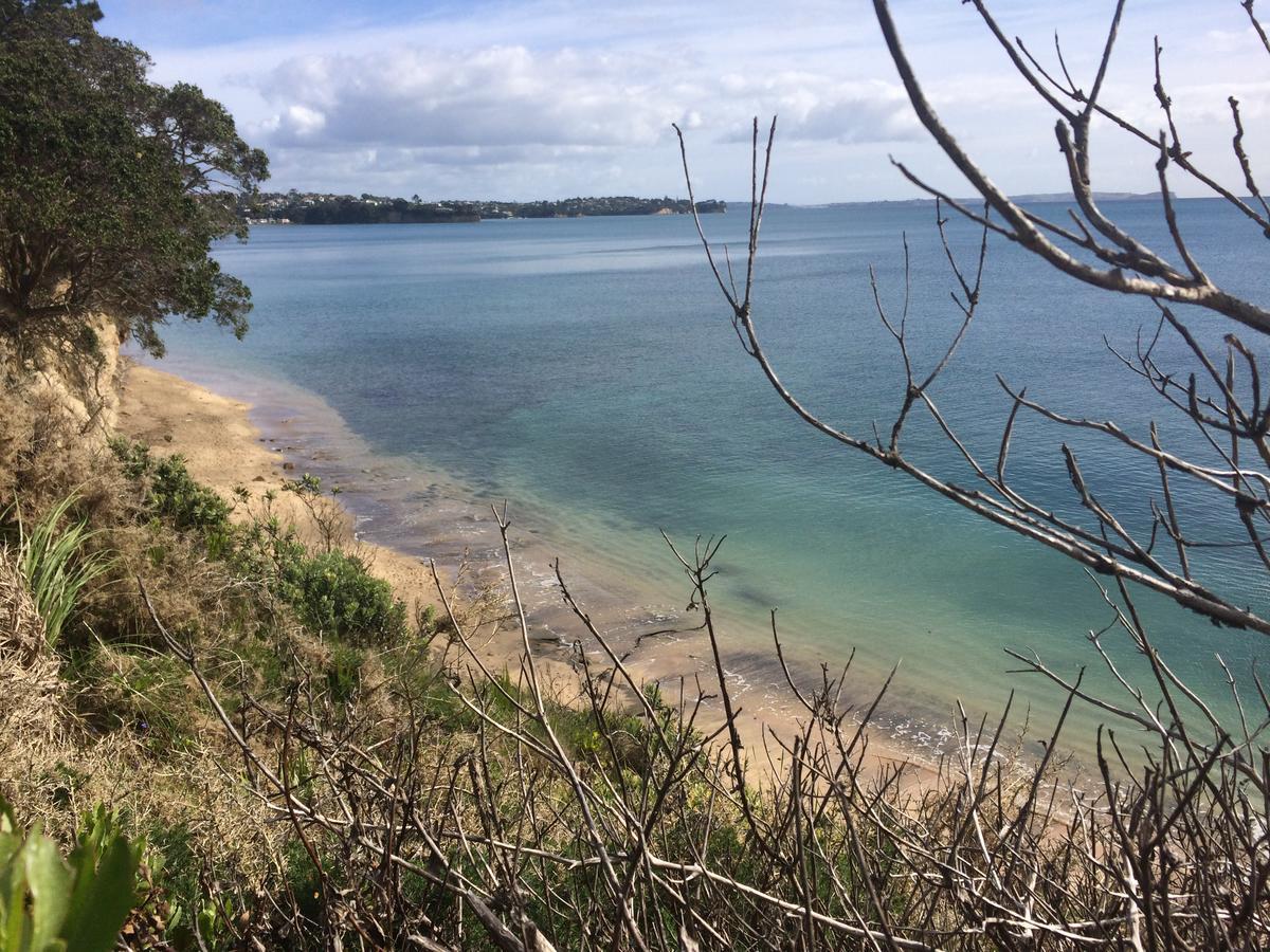 Beach Lodge Auckland Dış mekan fotoğraf