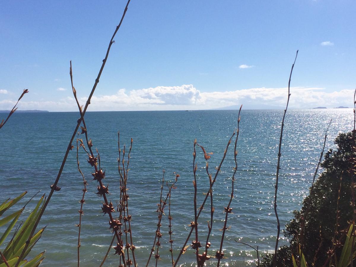 Beach Lodge Auckland Dış mekan fotoğraf